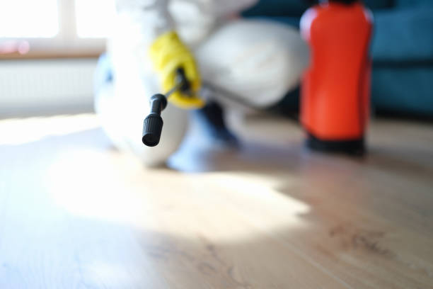 Best Emergency Mold Remediation  in Merchantville, NJ