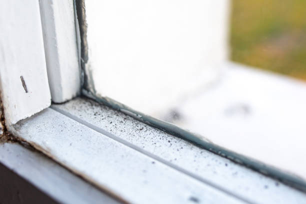 Best Real Estate Mold Inspection  in Merchantville, NJ