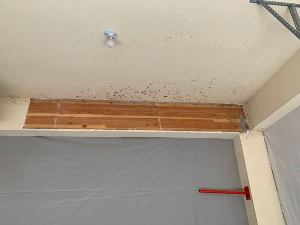 Best Post-Remediation Verification Testing  in Merchantville, NJ